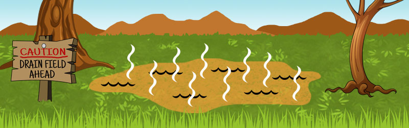 septic 
      systems texas cities 
      zip batch